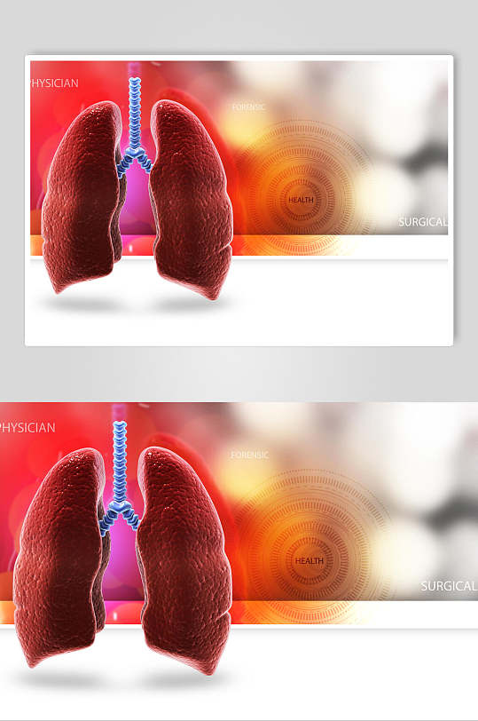健康心脏肺部人体器官图片