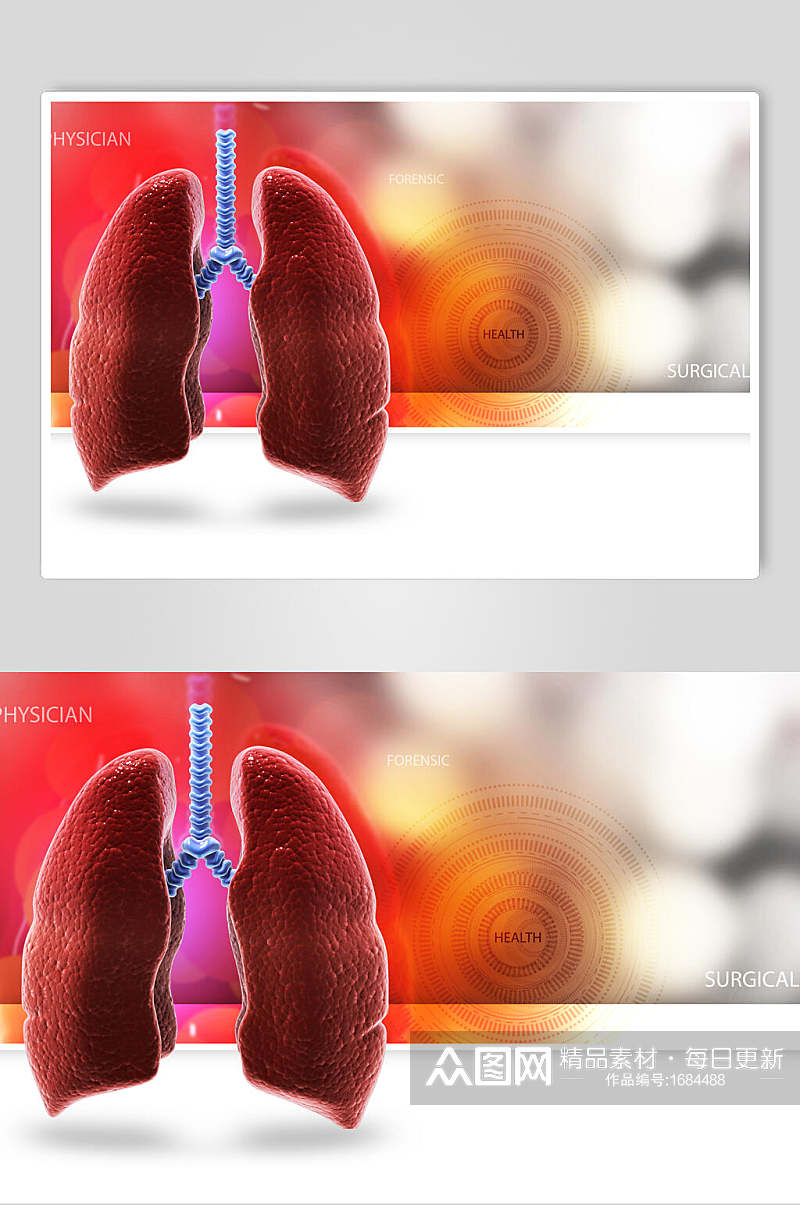 健康心脏肺部人体器官图片素材