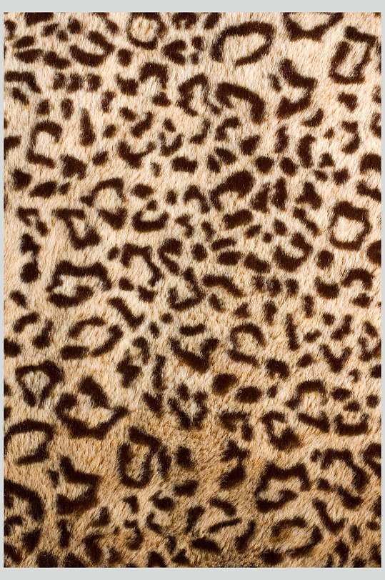 兽纹豹纹野兽皮毛高清图片
