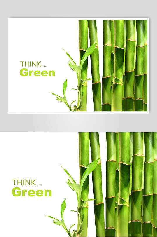 清新绿树如竹子竹林图片
