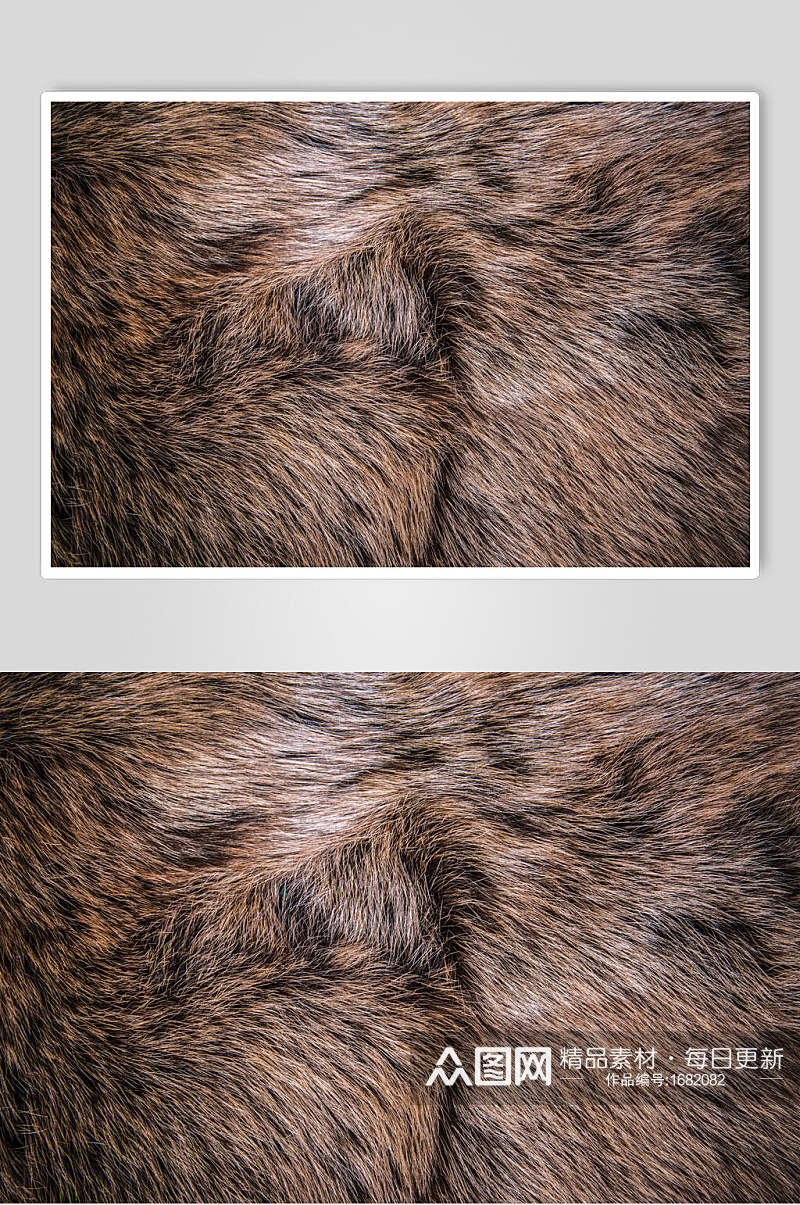 兽纹豹纹野兽皮毛小样特写摄影图素材