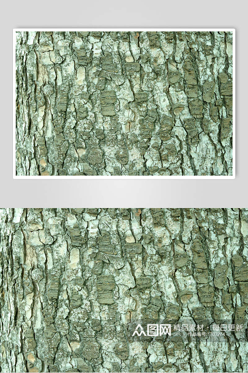 绿色树皮树纹高清图片素材