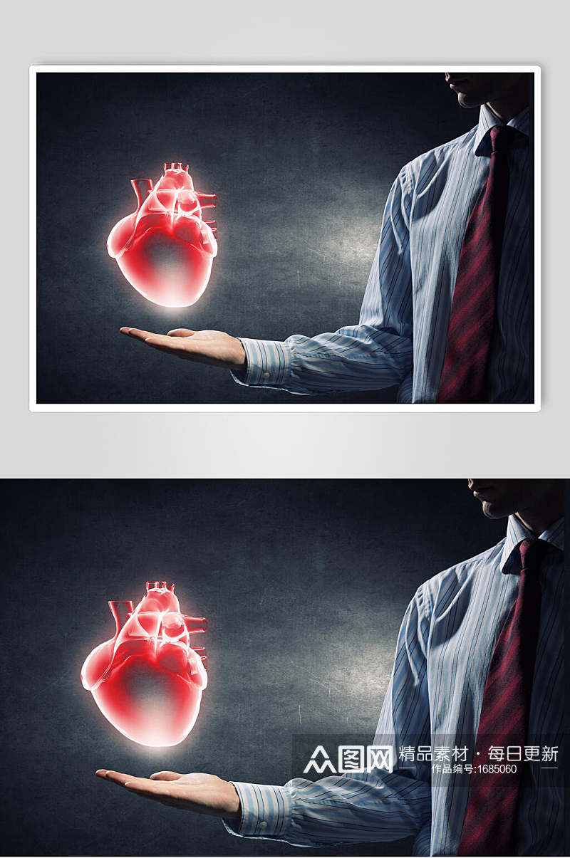 心脏肺部人体器官高清摄影图片素材