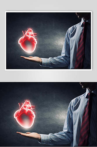 心脏肺部人体器官高清摄影图片