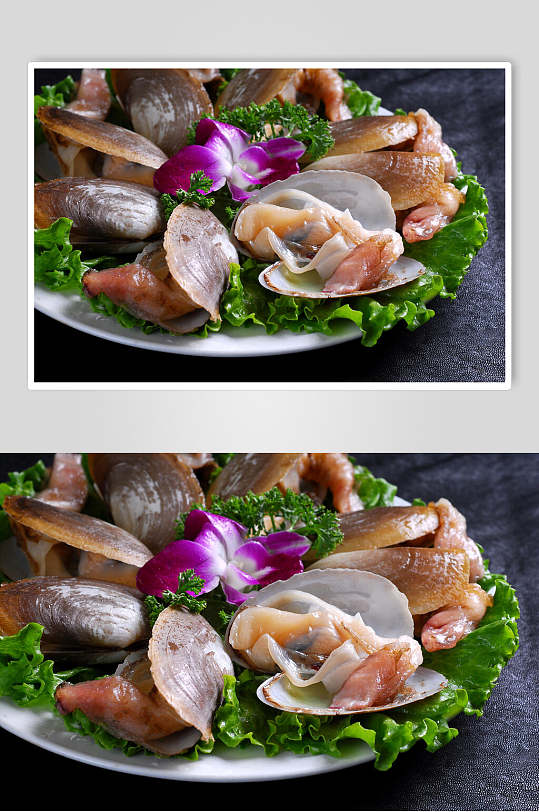 海鲜系列象拔蚌美食图片