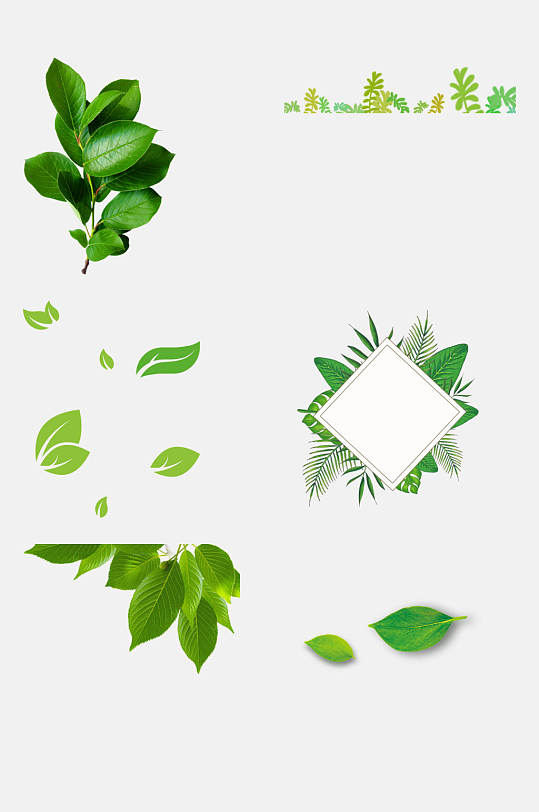 热带绿色树叶免抠元素素材