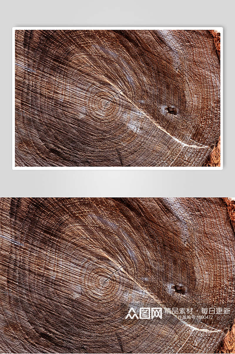老旧树皮树纹高清摄影图片素材