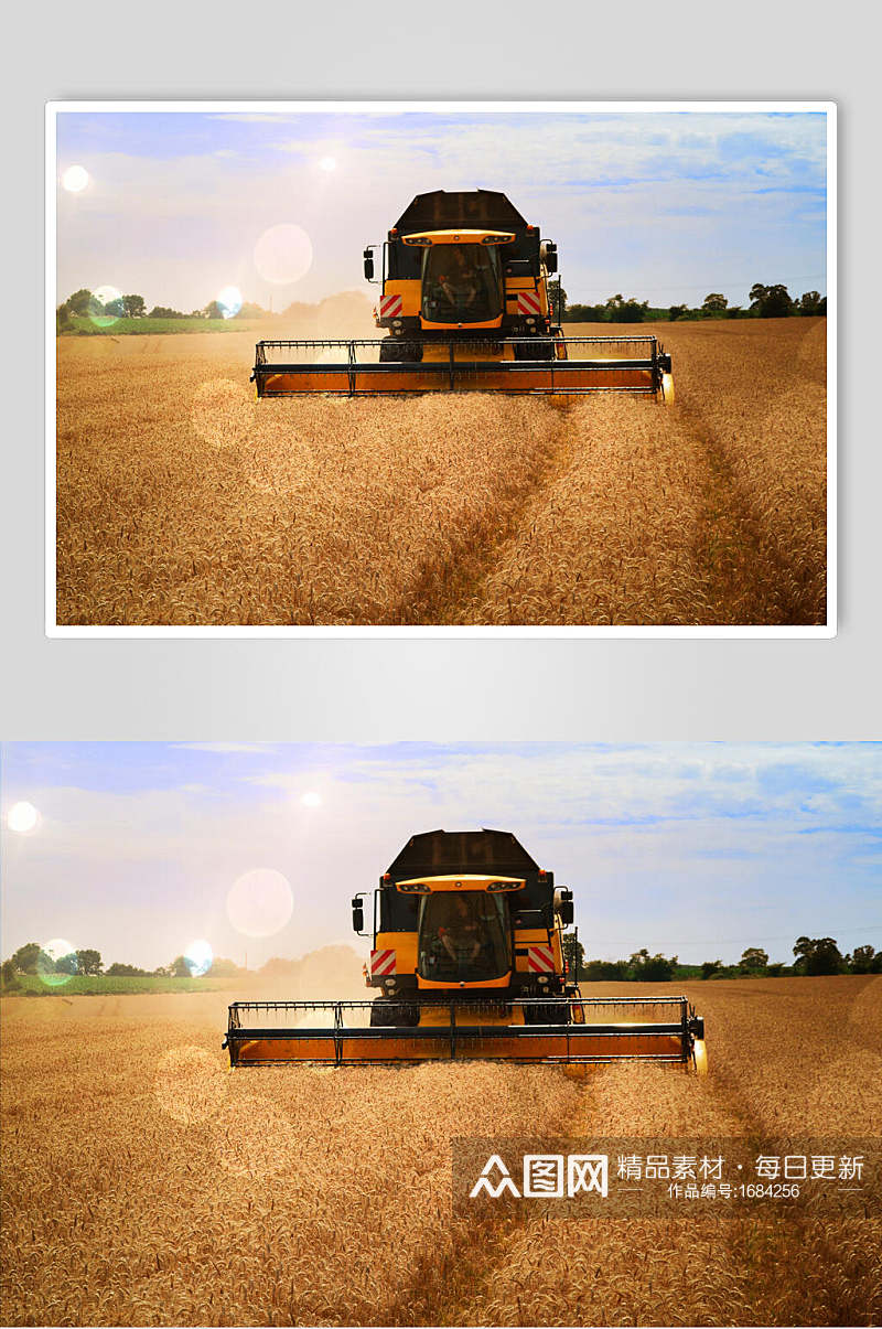 黄色麦子收割机运作高清图片素材