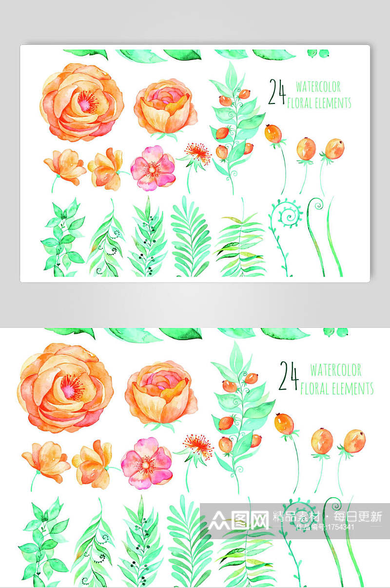 清新手绘植物花卉插画元素素材素材