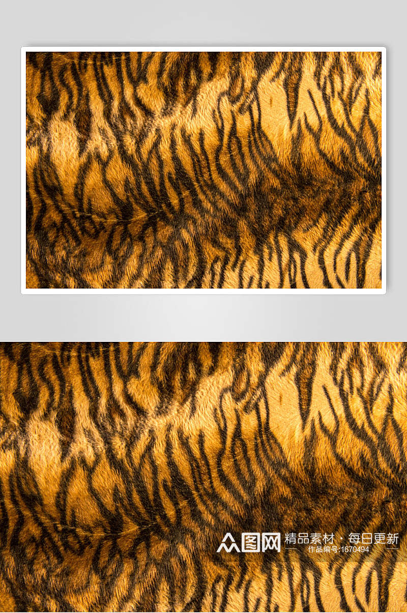 兽纹豹纹野兽皮毛图片素材
