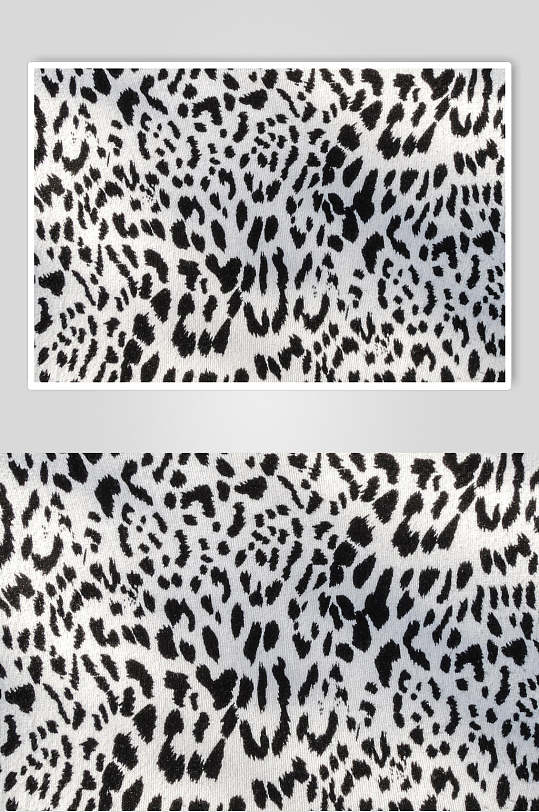 黑白兽纹豹纹野兽皮毛图片-众图网
