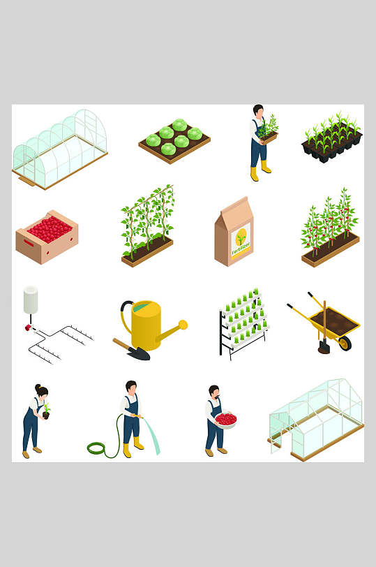 大棚蔬菜种植流程细节商务扁平化插画