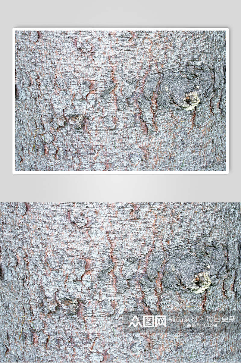 树皮树纹裂纹高清近景图片素材