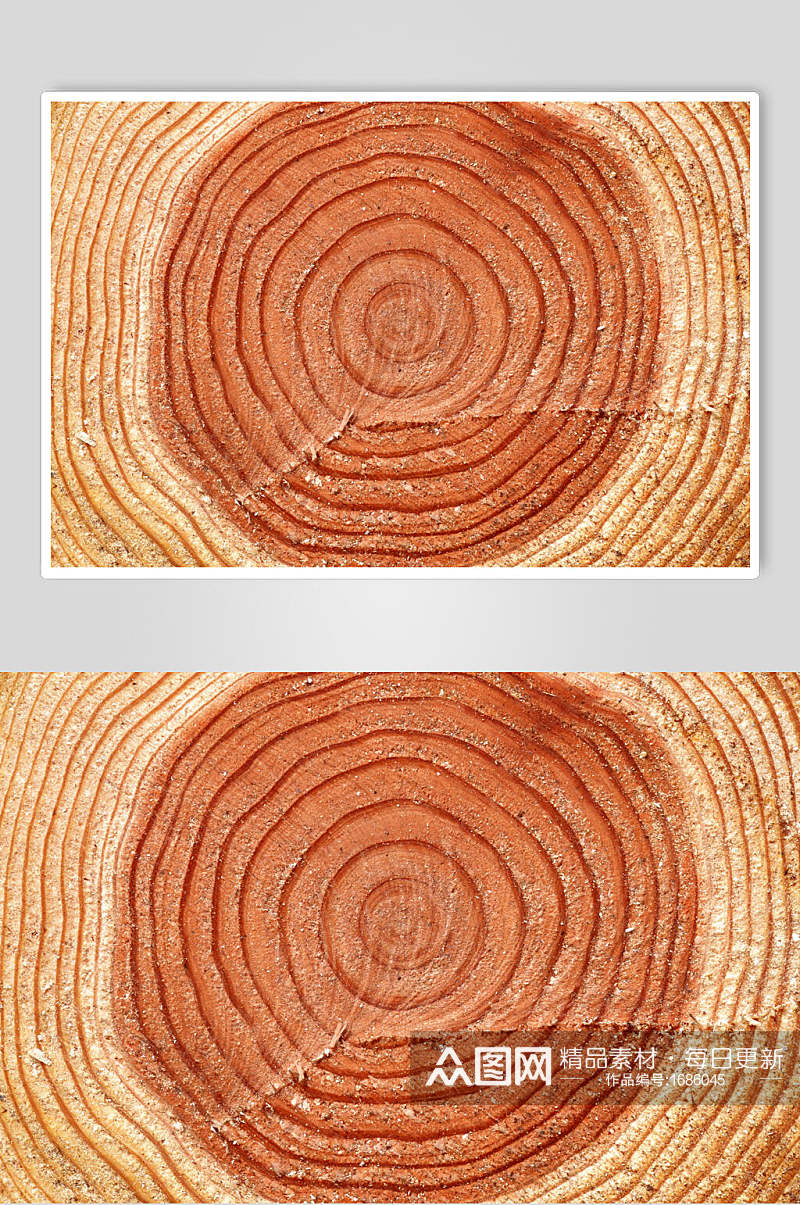 树木年轮纹理树皮摄影图素材
