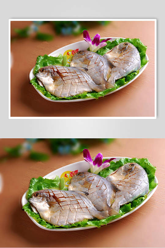 海鲜武昌鱼摄影图片