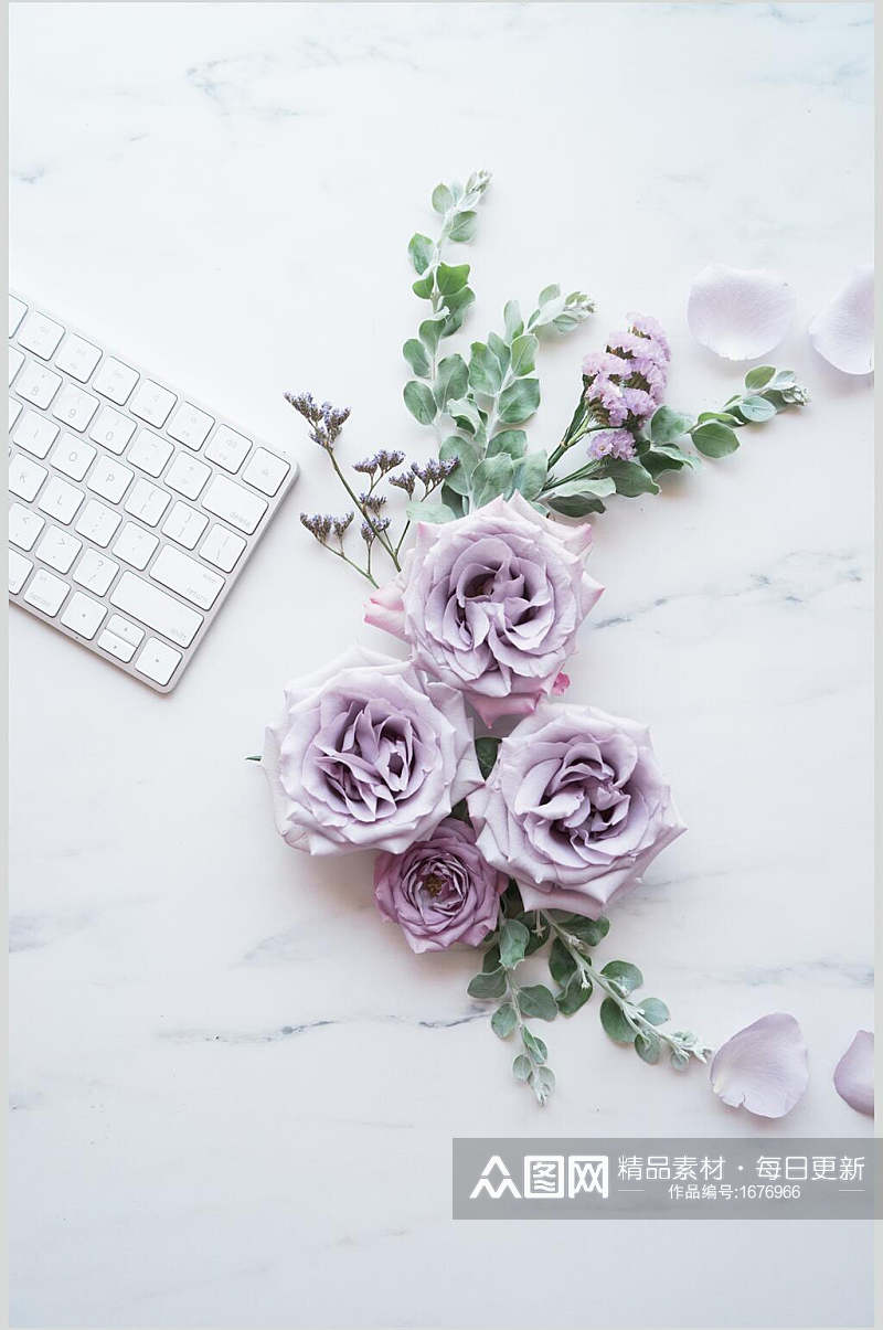 清新文艺紫色键盘花卉景物图片 植物摄影图素材