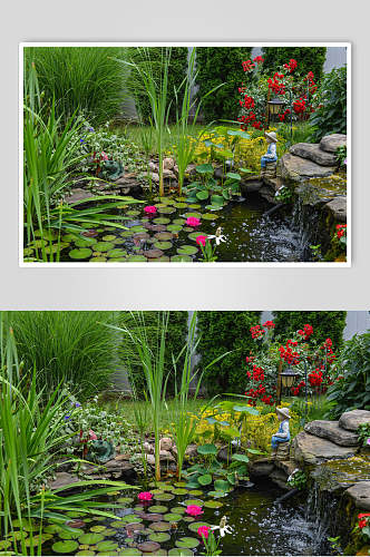 绿色私人别墅花圃池塘高清图片