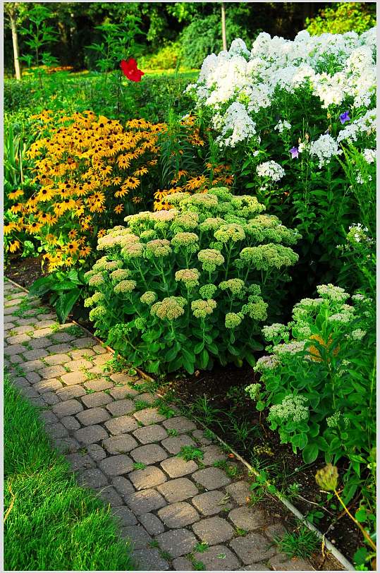 私人别墅花圃池塘鲜花植物图片 植物摄影图