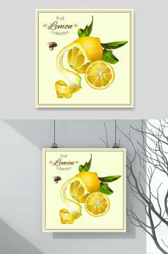 蜜蜂西柚柠檬插画背景元素素材