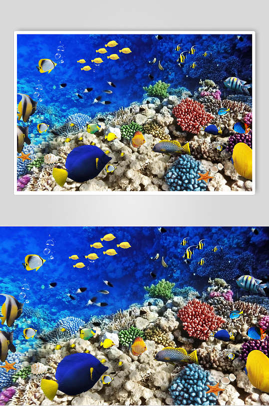 清新海洋世界海底世界d立体图