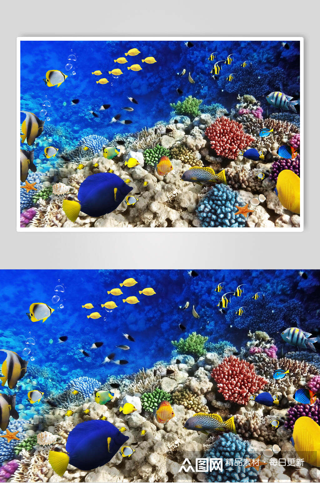 清新海洋世界海底世界d立体图模板下载-编号1681642-众图网