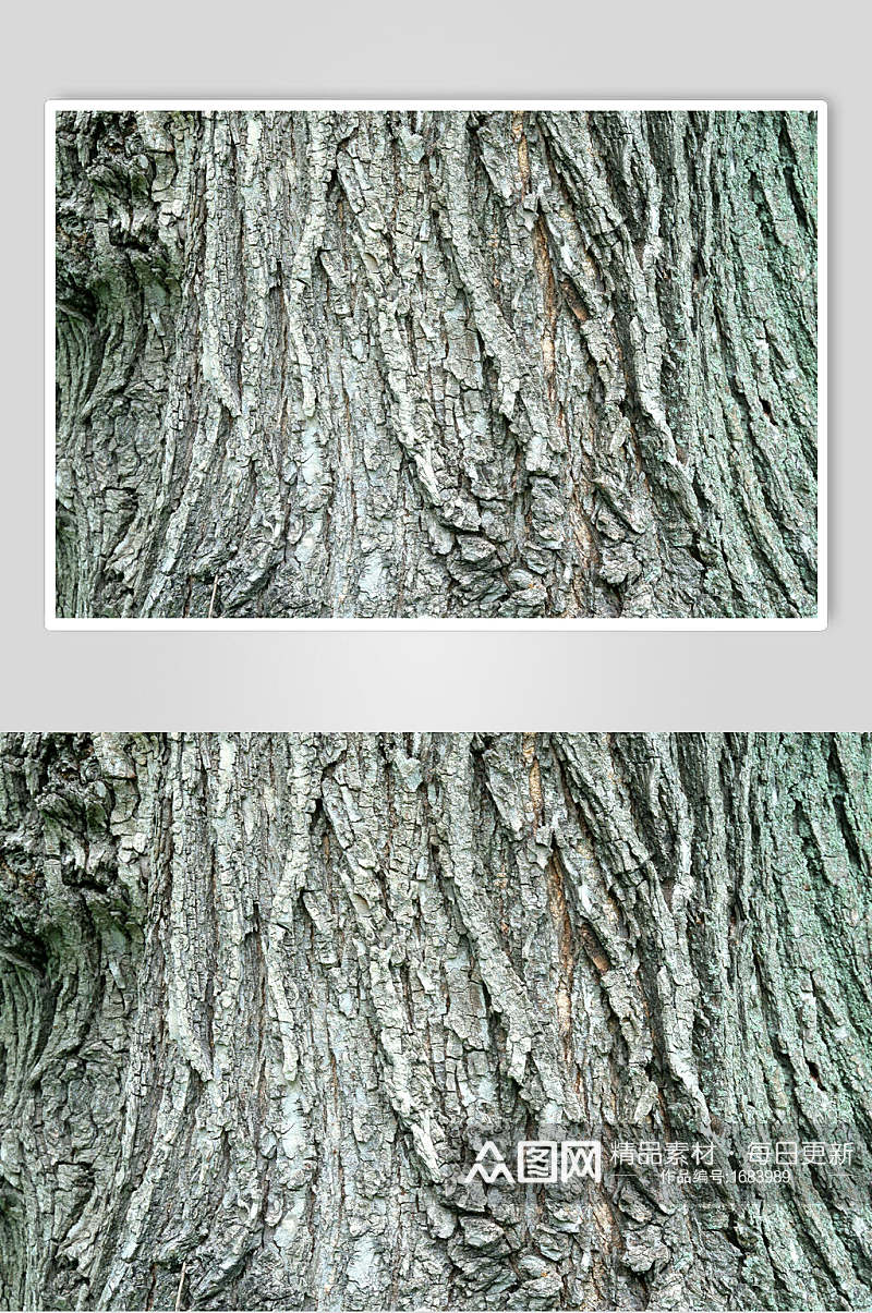 年老树皮干裂树纹图片素材