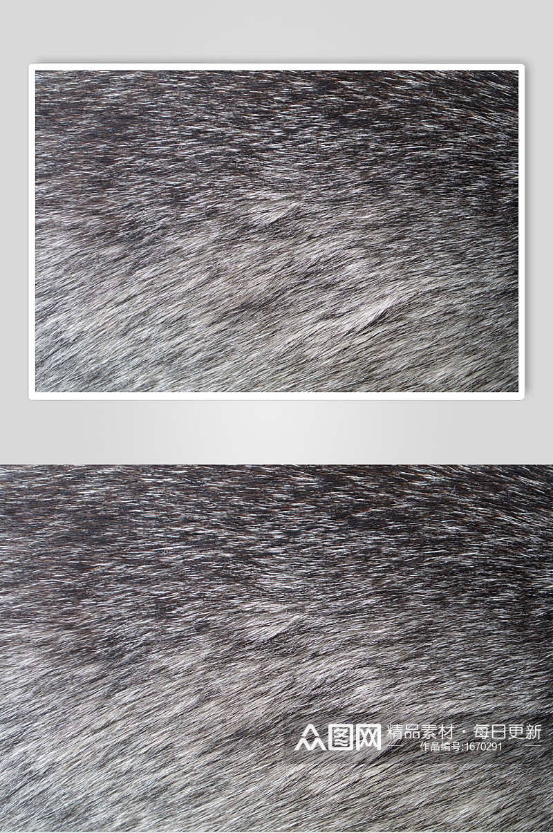 兽纹豹纹野兽皮毛高清图片素材
