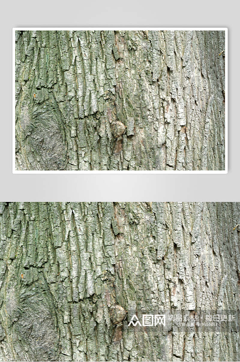 干裂高清树皮树纹图片素材