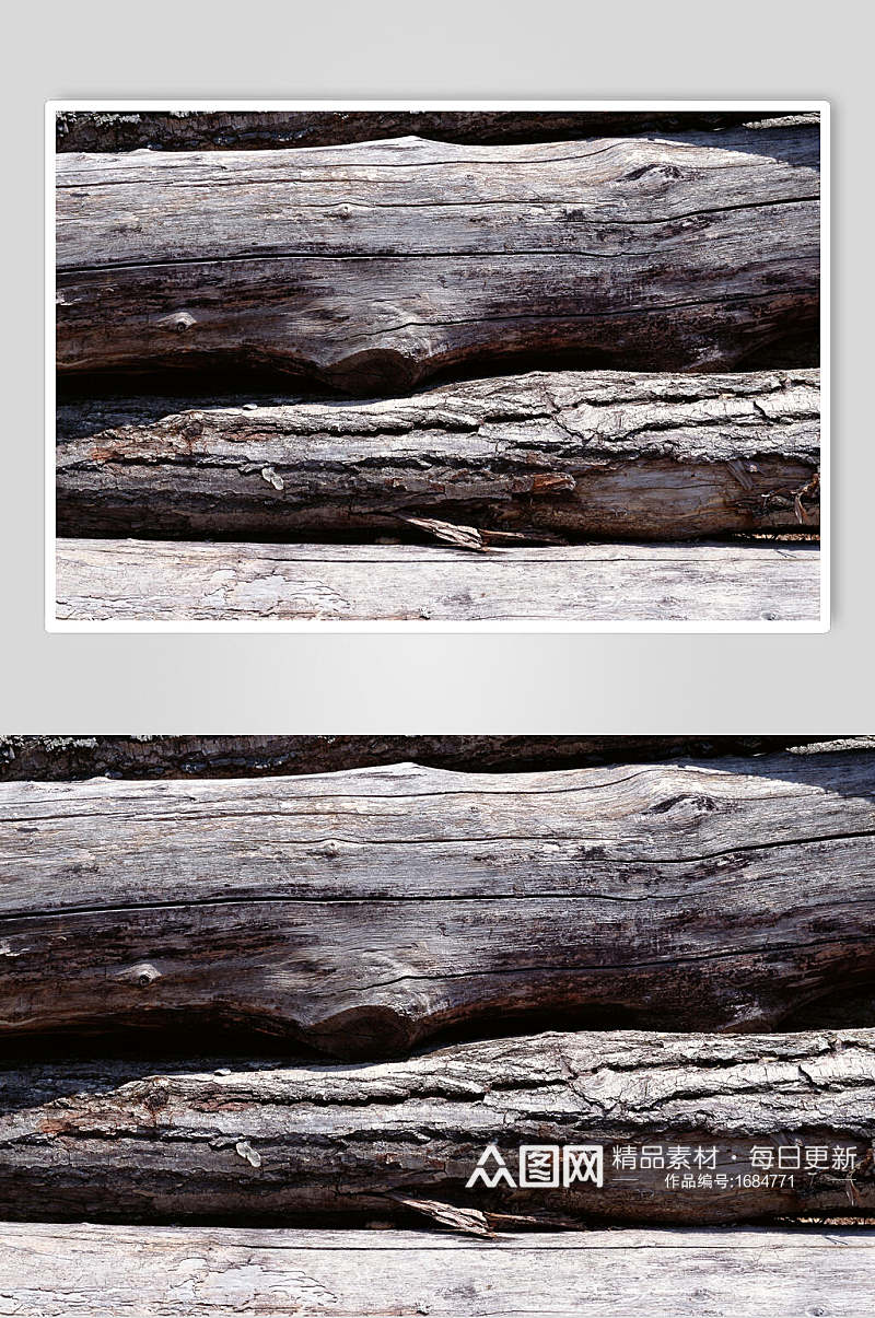 阳光干枯树皮树纹裂纹图片素材