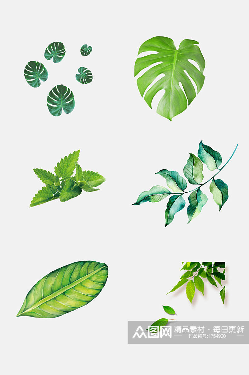 热带绿色树叶免抠元素素材素材