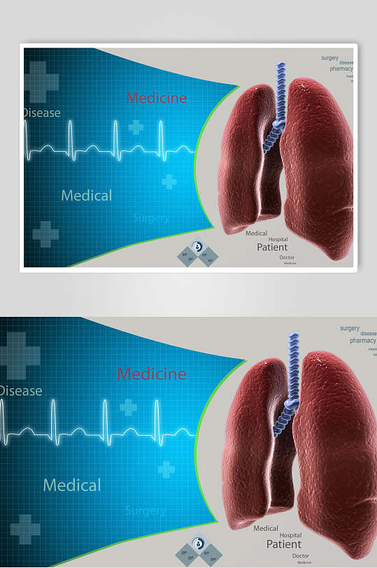 健康心脏肺部人体器官心电图片