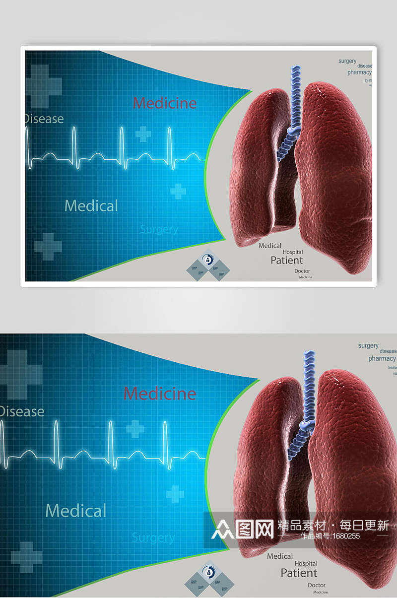 健康心脏肺部人体器官心电图片素材