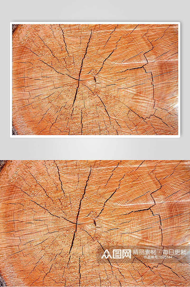 树皮树纹年轮视觉摄影图素材