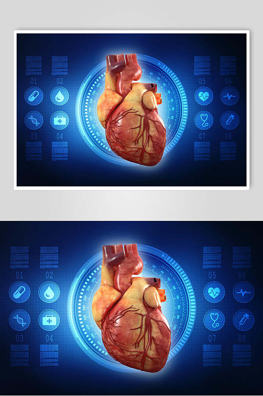 心脏特写高清人体器官图片