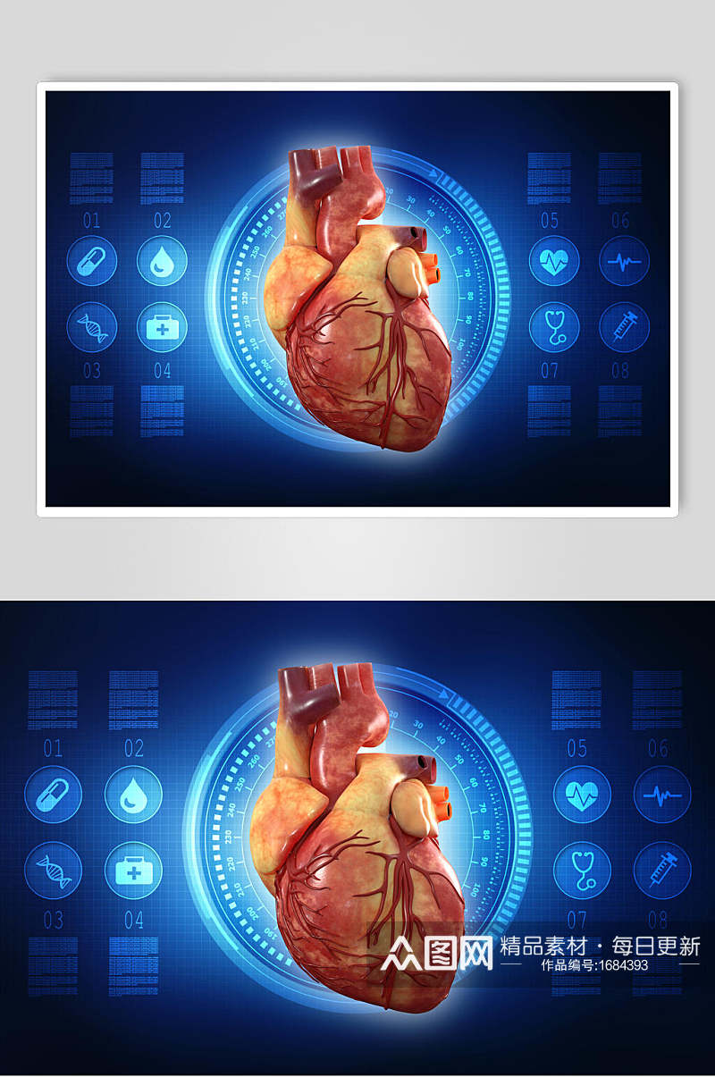 心脏特写高清人体器官图片素材