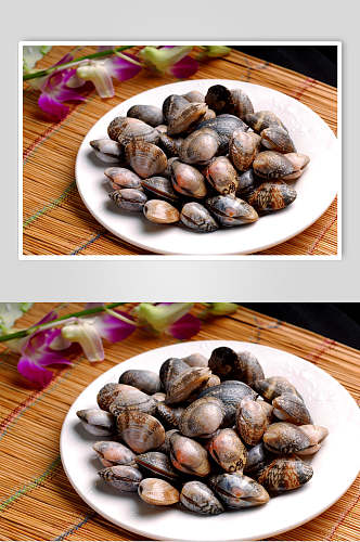 汤锅贝壳美食图片