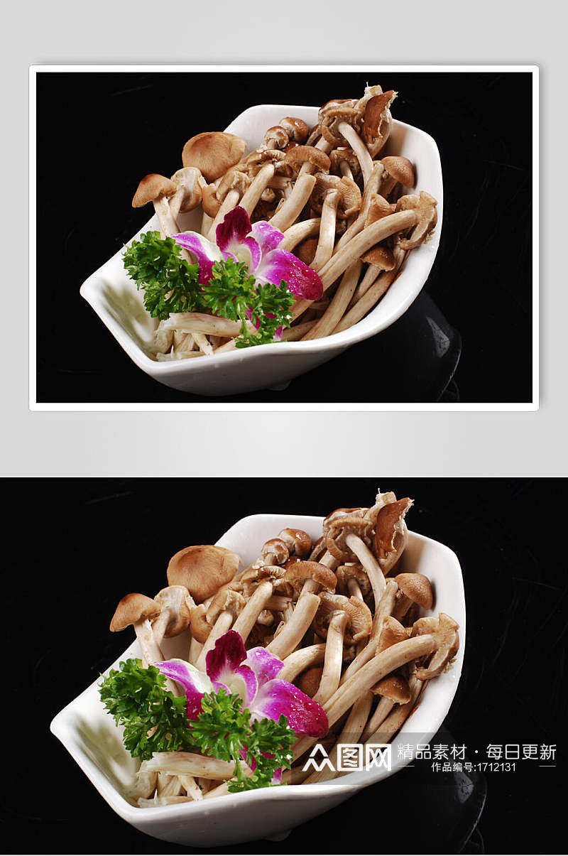 茶树菇图片素材