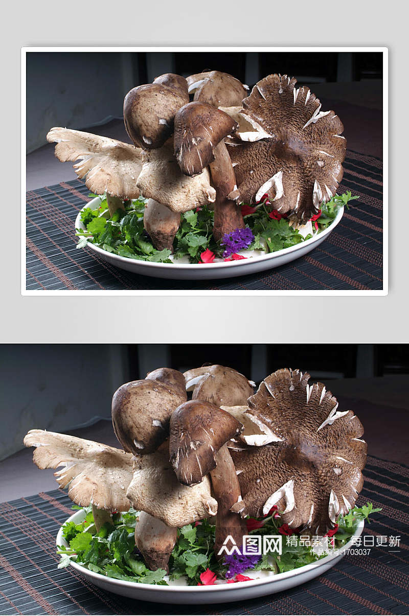 野生伞把菌子美食摄影图片素材