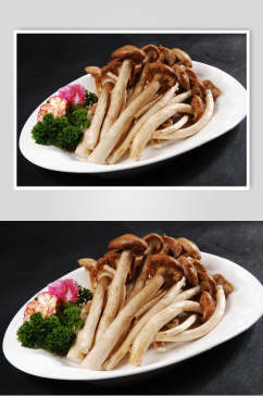 摆盘茶树菇美食高清图片
