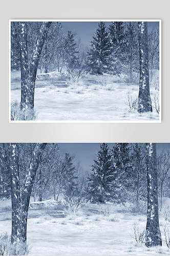 哥特风雪景童话森林特写图片