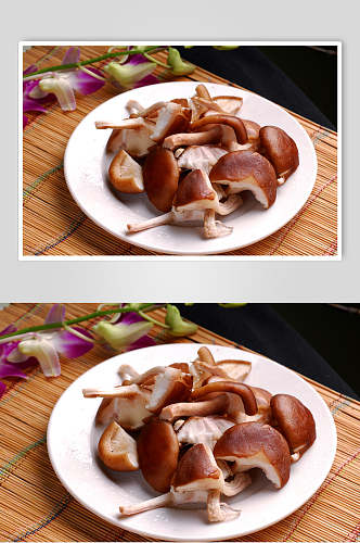 菇类香菇图片