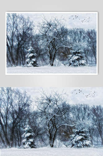 哥特风雪景童话森林摄影图片