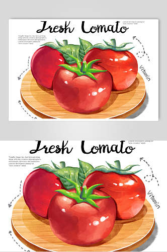西红柿果蔬插画设计素材