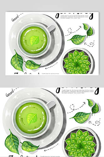 绿茶果蔬插画设计素材