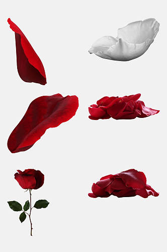 红色玫瑰花瓣免抠元素素材图片