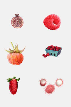 红毛丹水果免抠元素素材