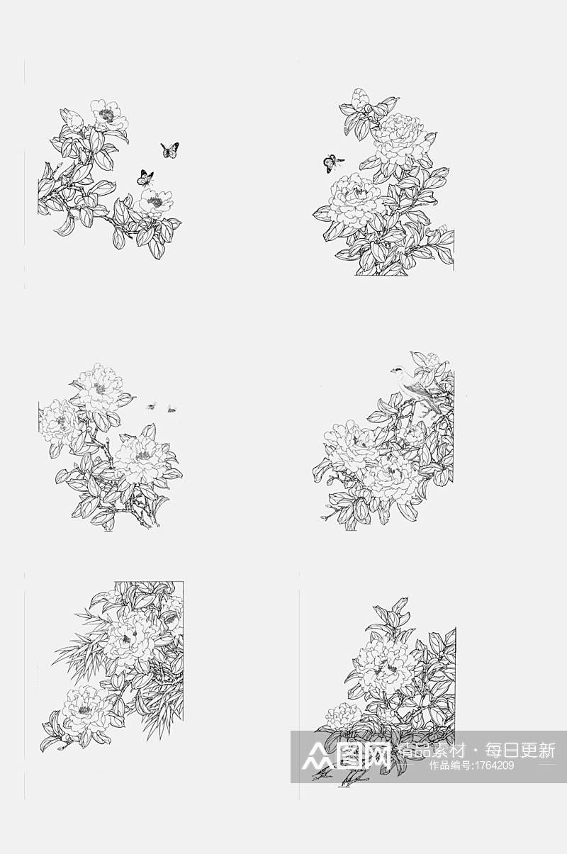 手绘画工笔白描花卉元素素材素材