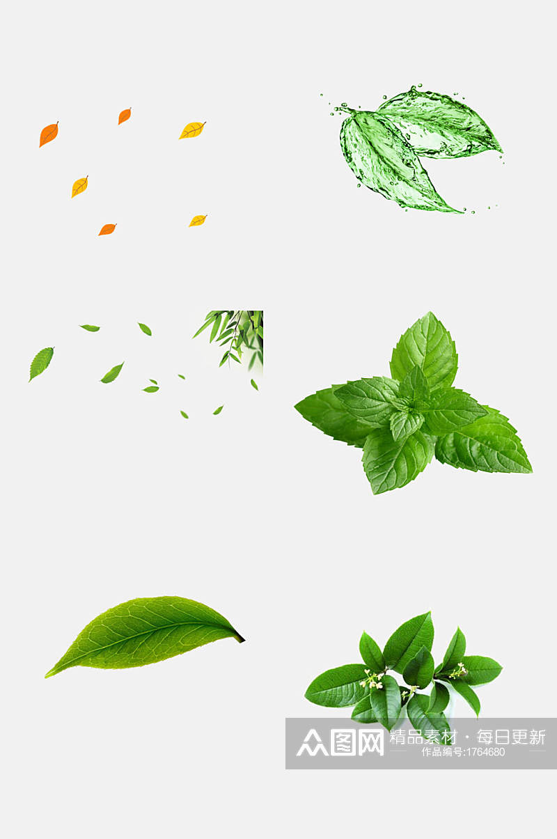 薄荷叶绿色叶子免抠元素素材素材