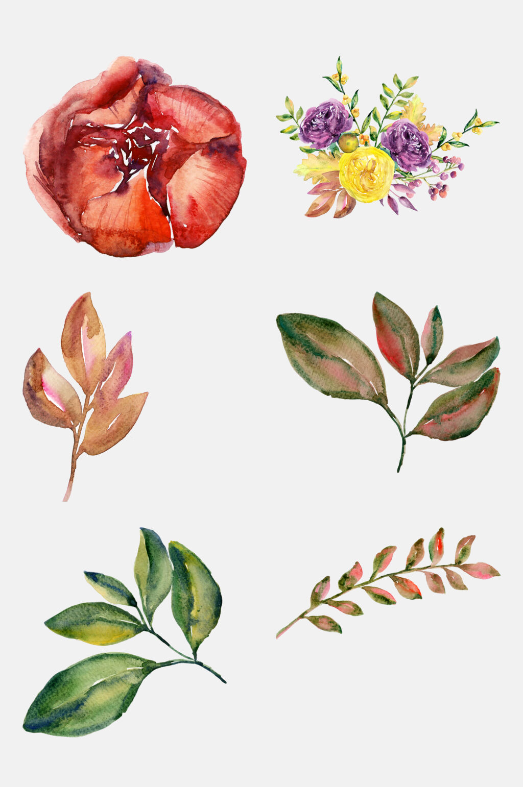 秋季花朵花叶水彩手绘元素素材素材