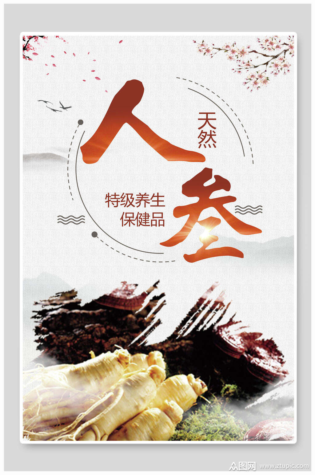 天然人参展架海报